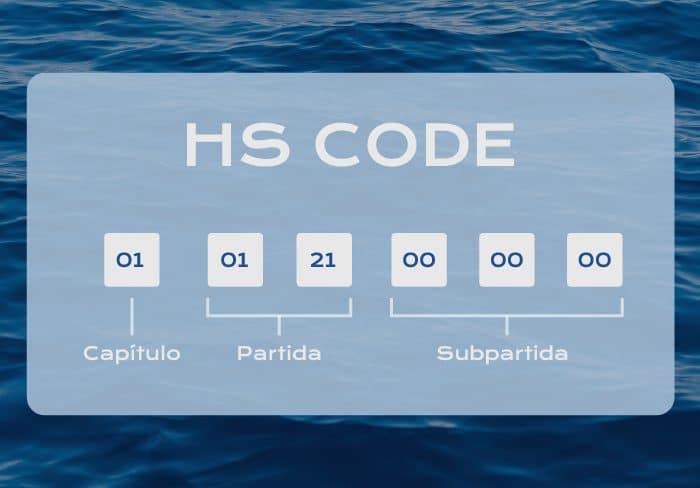 11Descubre por qué necesitas un HS en tu empresa.