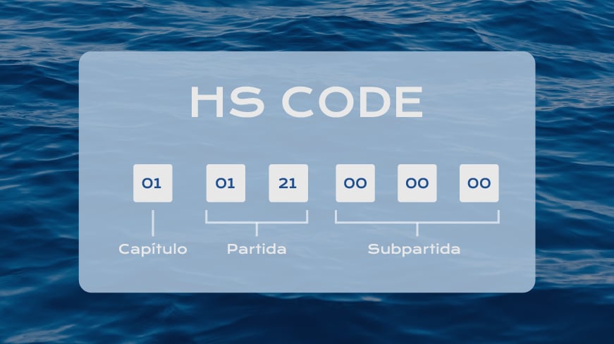 11Descubre por qué necesitas un HS en tu empresa.
